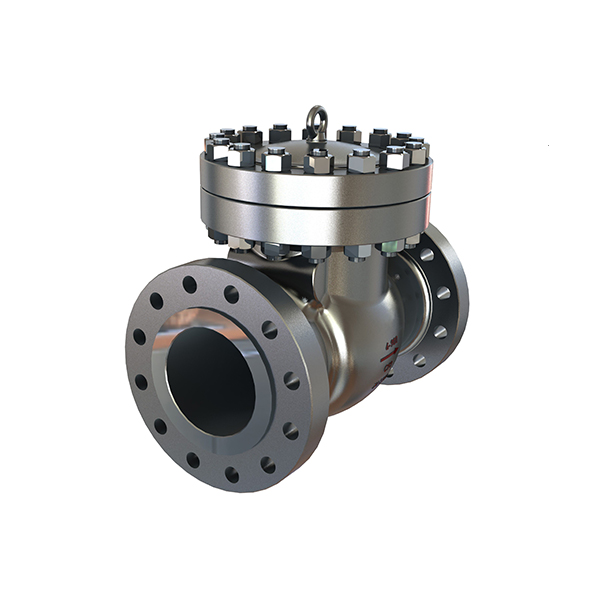 Cryogenic Check Valve