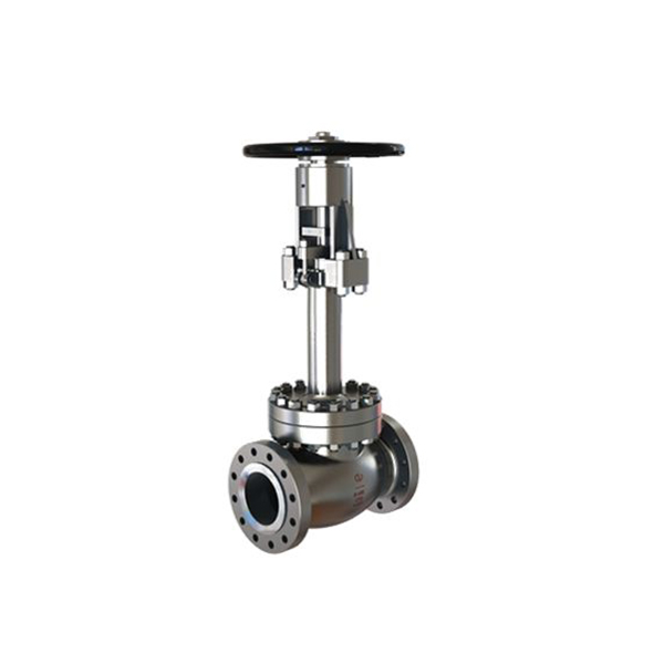 Cryogenic Globe Valve